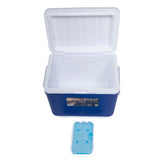 COMBO DE COOLER DUKAP 27 y 45 LITROS AZUL - DOS ICEPACK GRATIS